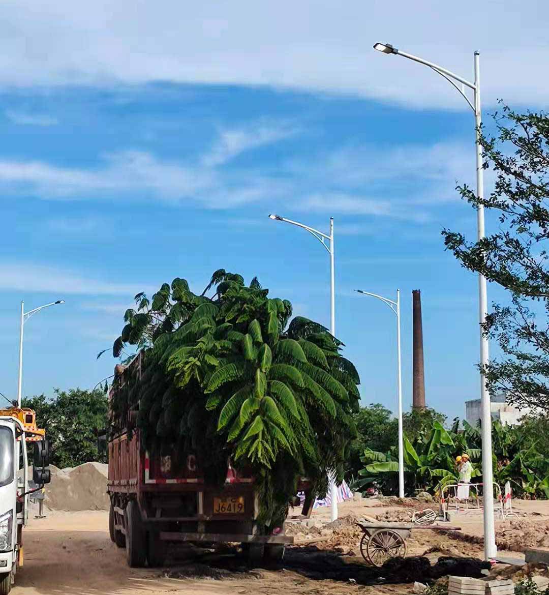 开云在线注册,开云(中国)助力东莞洪梅万科星城道路亮化工程